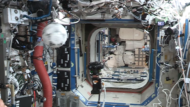 アディダス、シューズテクノロジーを宇宙空間でテスト…ISS米国国立研究所とパートナーシップ