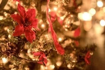 1日限定で無料開放!「メガロス開放DAY」開催…ナイトプールやプロテイン飲み放題など実施