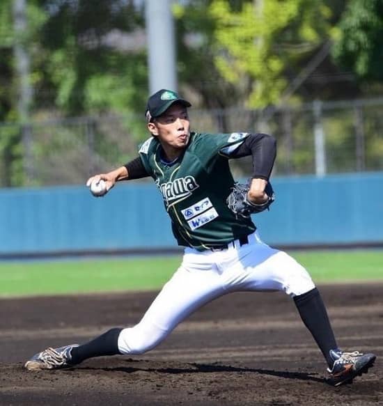 野球、仕事