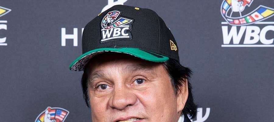 コロナ陽性のデュラン氏、家族がWBCに伝言「快方に向かっていると全ての人に知らせて」