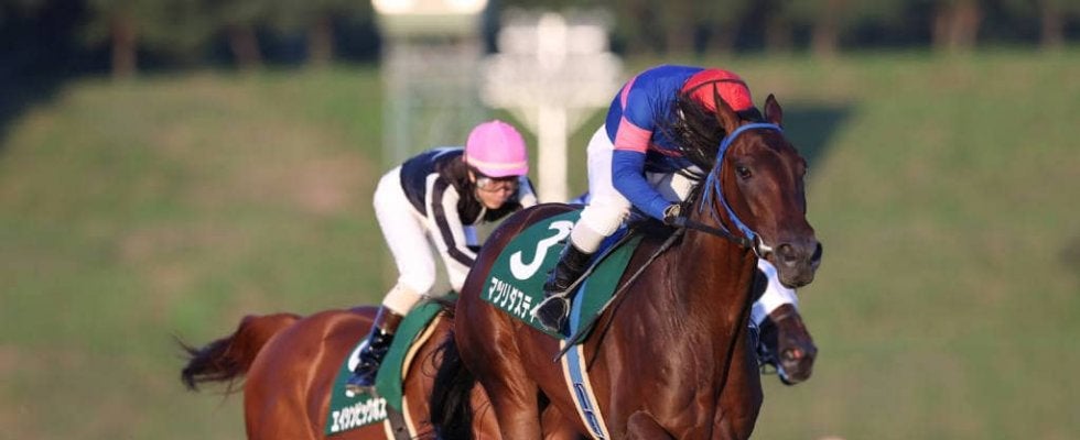 【盛岡・ジュニアグランプリ】地元岩手のマツリダスティールが優勝