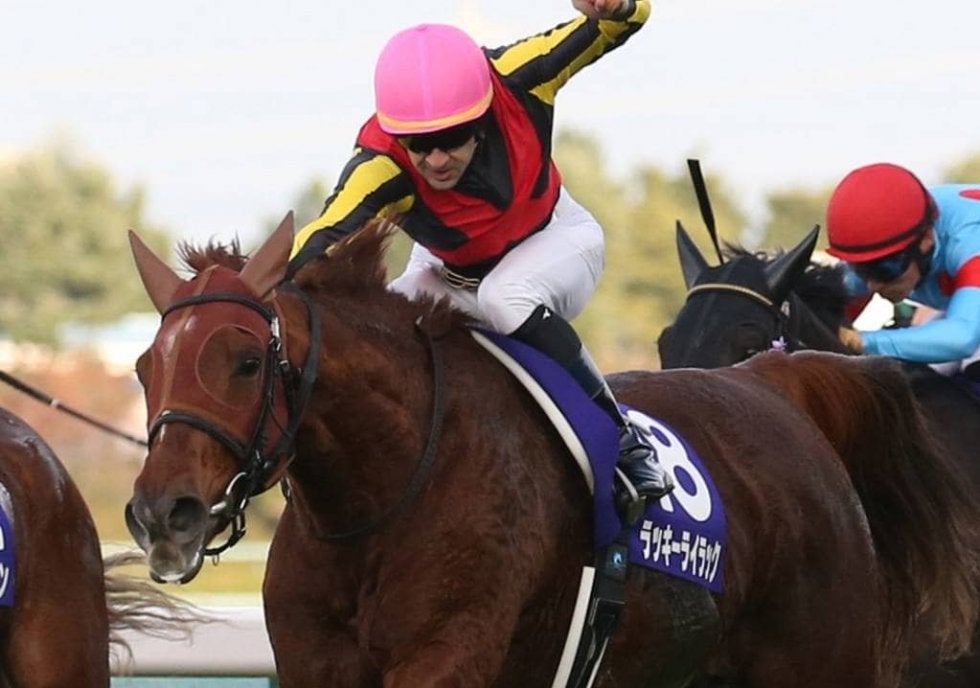 競馬　ラッキーライラック　ブックレット　エリザベス女王杯　優勝記念 競馬 ラッキーライラック ブックレット エリザベス女王杯 優勝記念