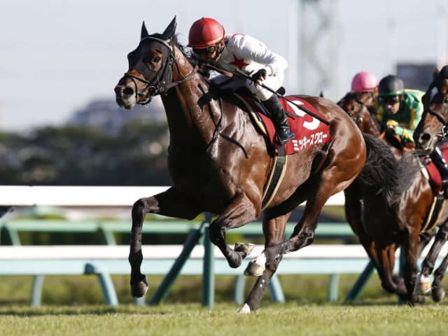 次走 ミッキースワローは有馬記念を視野 その他競技 スポーツブル スポブル