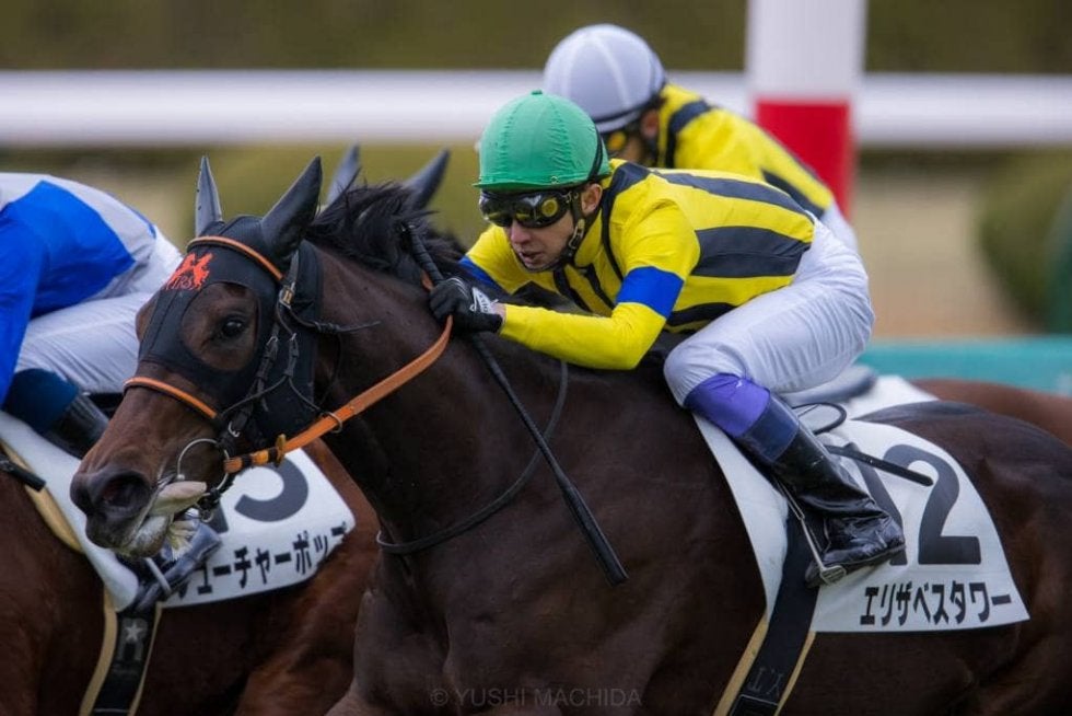 新馬 阪神5r 武豊 乗り味すごく良い エリザベスタワーがデビューv その他競技 スポーツブル スポブル