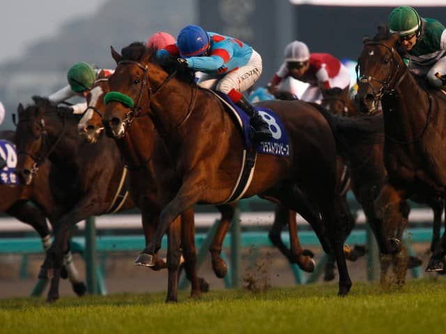 有馬記念 調教後馬体重 ブラストワンピースは557kg クロノジェネシスは478kg その他競技 スポーツブル スポブル