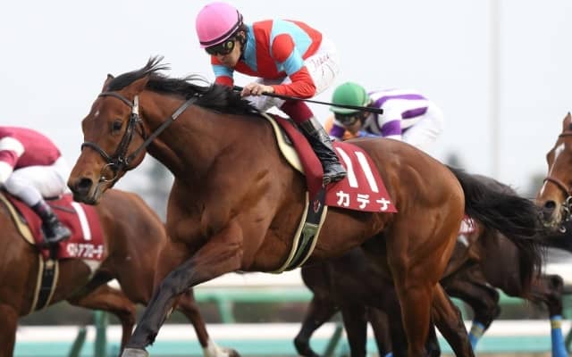 【中山金杯 出走馬決定順】フルゲート17頭にバイオスパーク・カデナなど21頭の登録