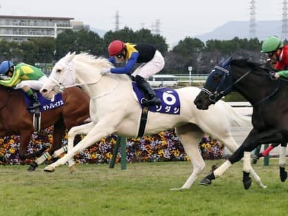 ４連勝で２歳女王となったソダシ。白毛馬初のクラシック制覇はなるか