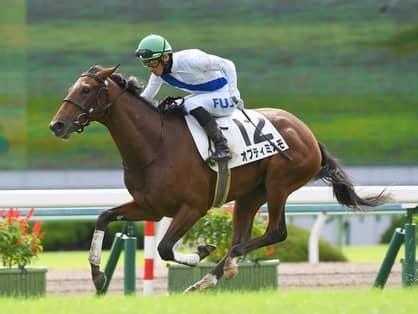 「BIGなお年玉」が見込めるフェアリーＳは穴党記者渾身の３頭で勝負