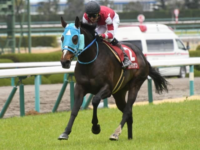 競馬ファンが選ぶ最優秀障害馬 中山グランドジャンプvのオジュウチョウサンがトップに Netkeiba大賞 最終結果発表 その他競技 スポーツブル スポブル