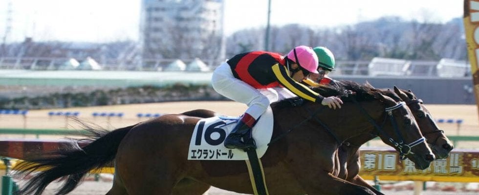 【新馬/東京6R】フィエールマン全妹、エクランドールがデビューV