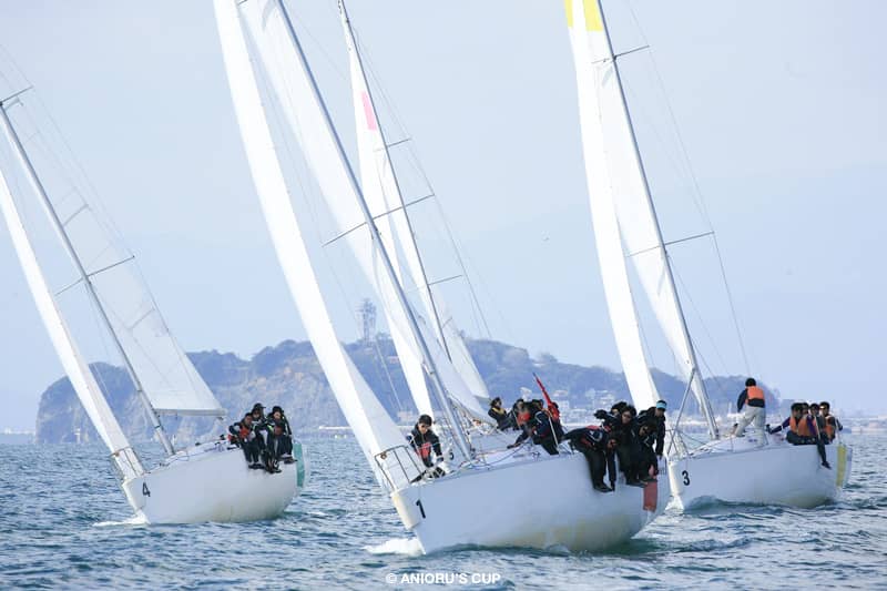 大学外洋クルーザーヨット部、アニオールズカップ中止発表