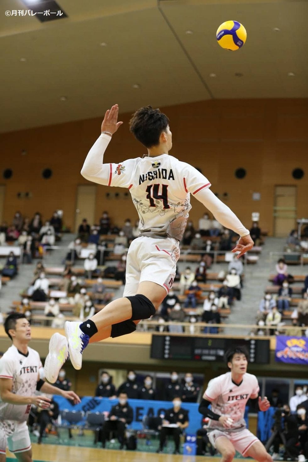 ファイナル3進出へ　WD名古屋がホームでパナソニックにリベンジ誓う【V1男子見どころ】