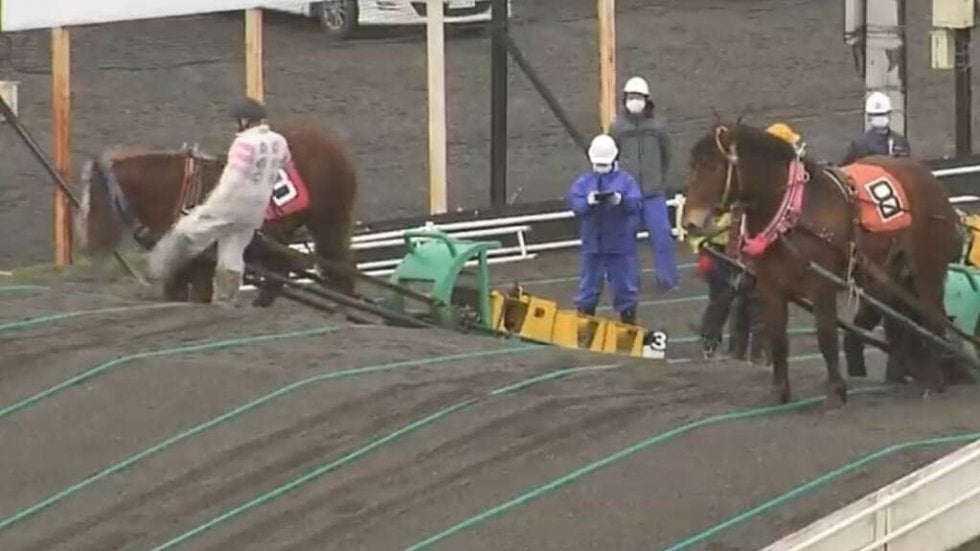 馬が蹴る理由とその対処法