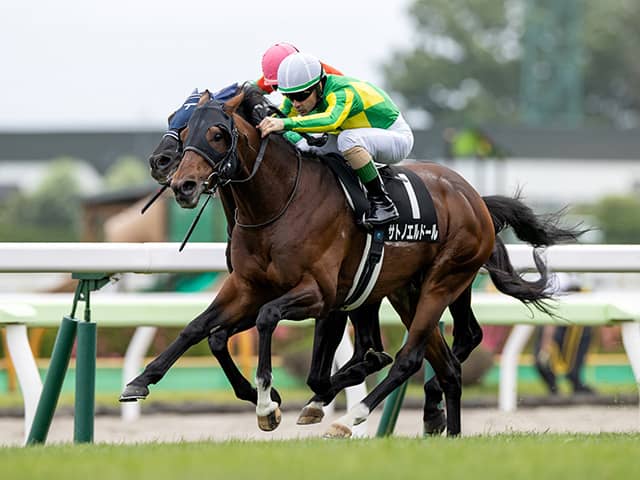 函館記念想定 カフェファラオはルメール騎手 サトノエルドールは亀田温心騎手 その他競技 スポーツブル スポブル