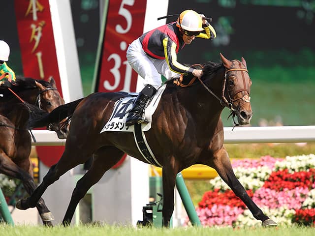 2015年の二冠馬ドゥラメンテが死亡、9歳 種牡馬としても活躍の矢先