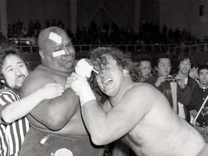 全日本プロレス 世界最強タッグ ファンクス ブッチャー シーク