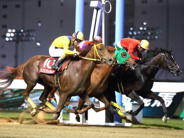 【川崎・サルビアカップ結果】山崎誠士騎手騎乗の米国産馬カルフレグランスが勝利
