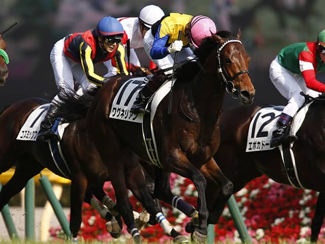 富士s 注目馬 初マイル戦に挑む18年ダービー馬 先輩マカヒキに続き復活なるか その他競技 スポーツブル スポブル 富士s 注目馬 初マイル戦に挑む18年ダービー馬 先輩マカヒキに続き復活なるか その他競技 スポーツブル スポブル