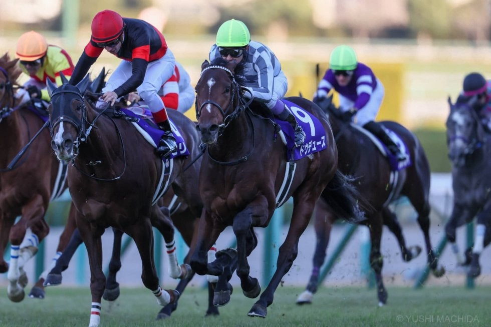 ドウデュース　21年　朝日杯FS　現地的中単勝馬券　ラスト在庫につき値引き❌️ ドウデュース 21年 朝日杯FS 現地的中単勝馬券 ラスト在庫につき値引き❌️