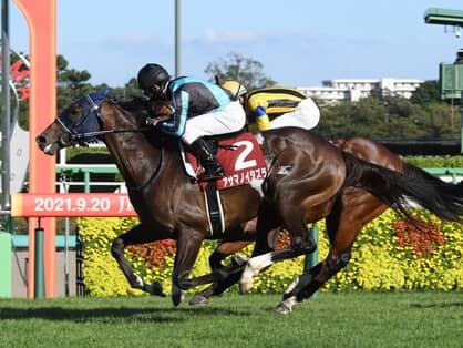 有馬記念に強い馬を血統から探す。浮かび上がったのは「父仔制覇」を狙う２頭