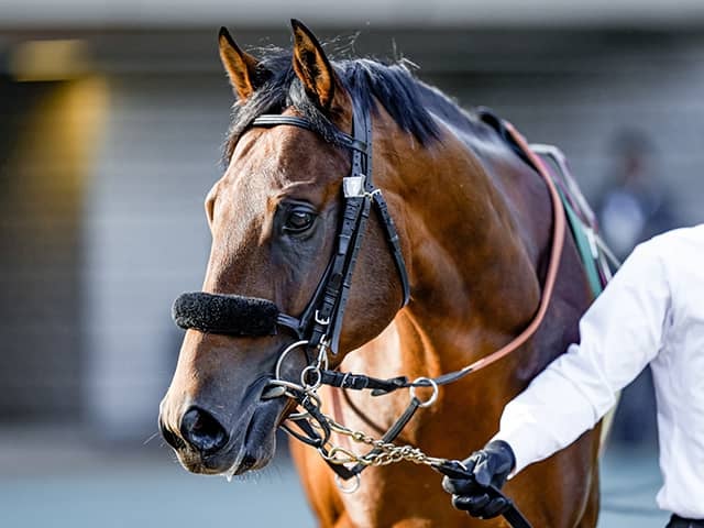 【有馬記念】エフフォーリアが人気に応えてGI連勝！ラストランのクロノジェネシスは3着