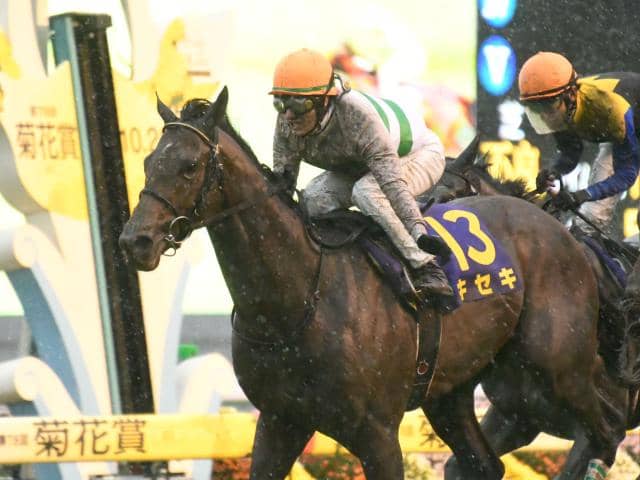 JRA】キセキが登録抹消、ブリーダーズSSで種牡馬に | その他競技