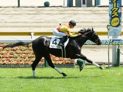 穴党向きのシンザン記念は今年も大荒れの予感。舞台合う２頭が高配当を演出か