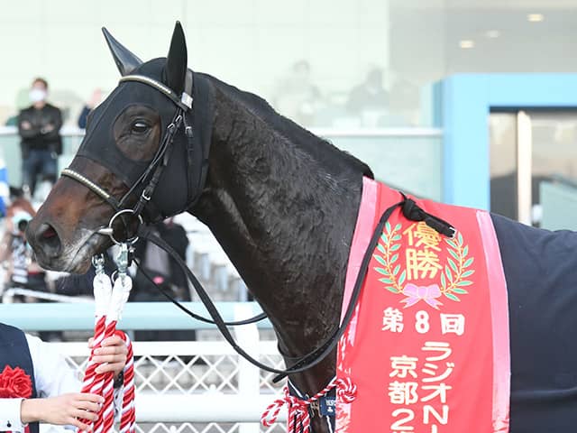 次走 京都2歳s覇者ジャスティンロックは弥生賞で始動 その他競技 スポーツブル スポブル