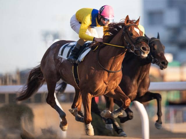 【川崎・ヴィクトリーチャレンジ結果】本田正重騎手騎乗の1番人気フウトが勝利