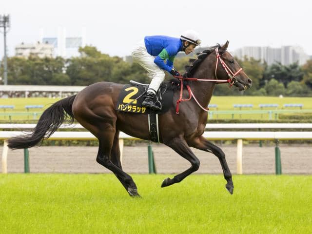 アウトレット情報 第90回中山記念 パンサラッサ 【公式通販】