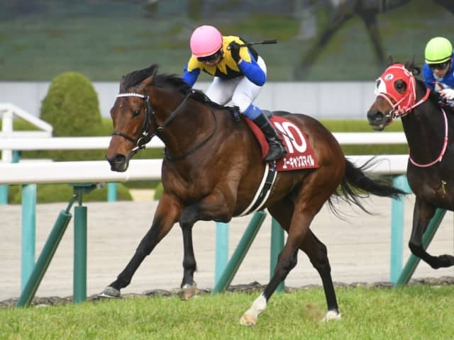 Ai予想 阪神大賞典 選んだ本命はディープボンドではない 実力ステイヤーのあの馬推し Jra重賞レース展望 その他競技 スポーツブル スポブル