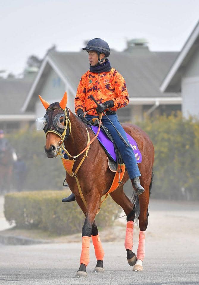 大阪杯２着のレイパパレはヴィクトリアｍへ 久々のマイル戦で２度目のｇ１制覇目指す その他競技 スポーツブル スポブル