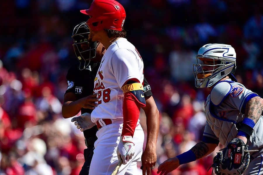 【MLB】ブチ切れ大乱闘起こした主砲は2試合の出場停止　ベンチ一掃の大混乱で処分決定