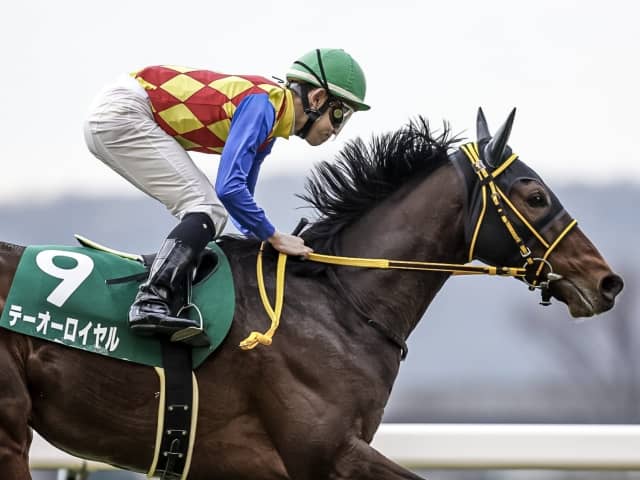 【今日の注目ポイント】阪神で長距離王決定戦の天皇賞・春