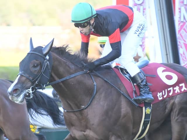 【今日の注目ポイント】3歳マイル王決定戦・NHKマイルC、KYダービーにクラウンプライド参戦など