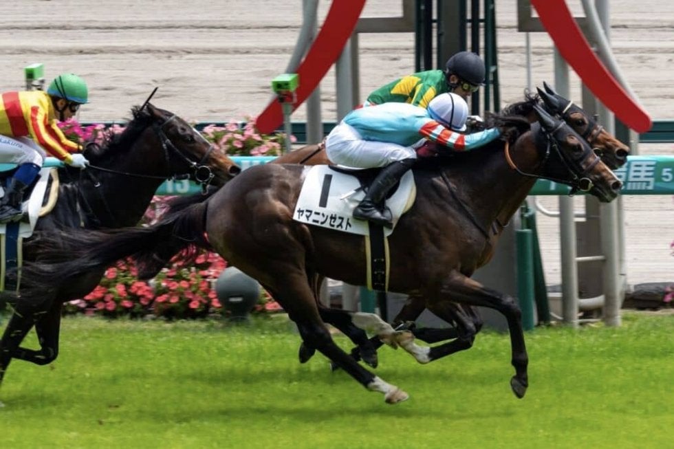 【中京5R】ルーキー鷲頭虎太がJRA初勝利