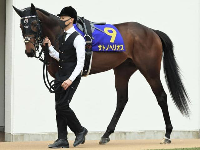 ラジオnikkei賞予想オッズ サトノヘリオスが予想1番人気 その他競技 スポーツブル スポブル