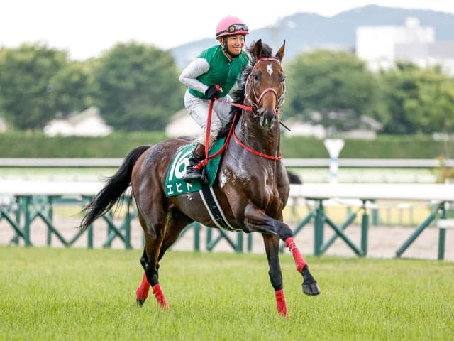 相性のいい父×母父の配合 重厚な欧州血統が好走へと結びついた