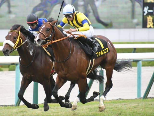 【中京記念枠順確定】ファルコニアは8枠15番、ミスニューヨークは1枠2番