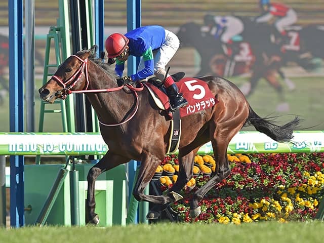 札幌記念】距離短縮を味方に北の大地もスタコラサッサ？ドバイG1