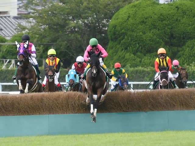 【小倉サマージャンプ想定騎手】アサクサゲンキは石神深一騎手、サトノパシュートは高田潤騎手 その他競技 スポーツブル (スポブル)