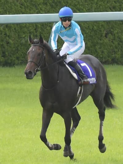 オールカマー、松山弘平騎手の始球式登場は本命デアリングタクトの勝敗