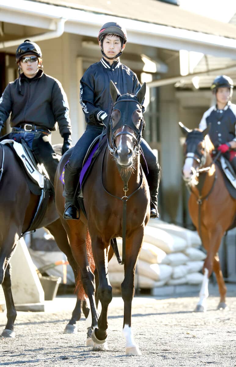 菊花賞 ヤマニンゼストの千田輝彦調教師 あれだけのジョッキーなので 最多の菊５勝 武豊に激走託す その他競技 スポーツブル スポブル