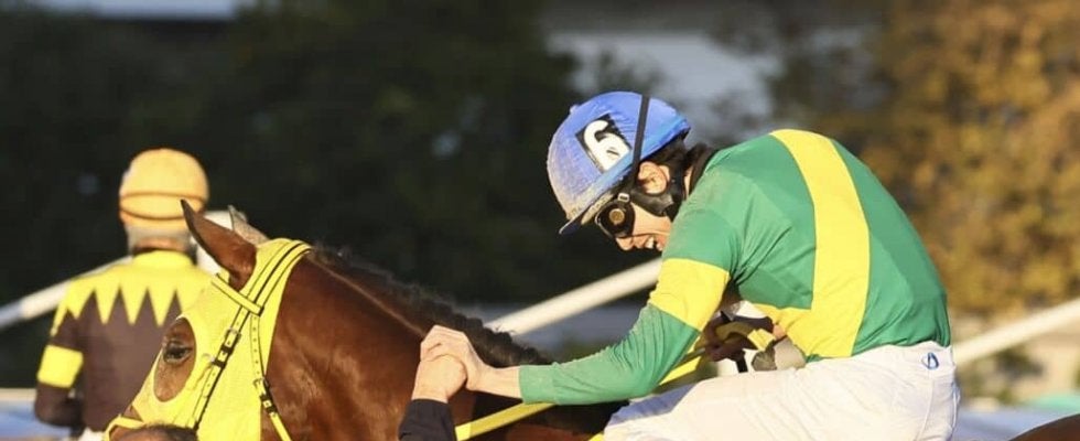 【東京大賞典】高木師「我慢が利いていた」ウシュバテソーロがG1初制覇