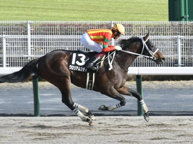 【船橋・ダイオライト記念注目馬】ダートグレード競走最長距離で争われる一戦 中央・地方ともに実績馬揃う その他競技 スポーツブル (スポブル)