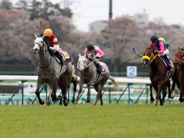 ゴールドシップの母　ポイントフラッグ　新馬戦 ゴールドシップの母 ポイントフラッグ 新馬戦 （ゴールドシップ
