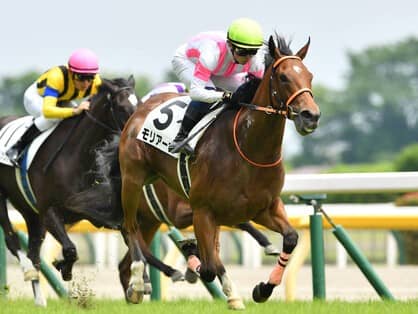 NHKマイルCは1600mに強い「エピファネイア産駒の牝馬」が狙い もう1頭は「母系にアンブライドルド」の血を持つ名門牝系 その他競技