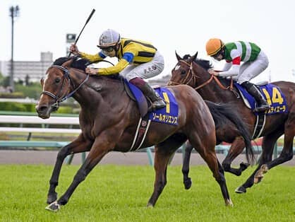 ソールオリエンスの二冠達成の可能性は？　日本ダービーの行方が見える「３歳牡馬ランキング」