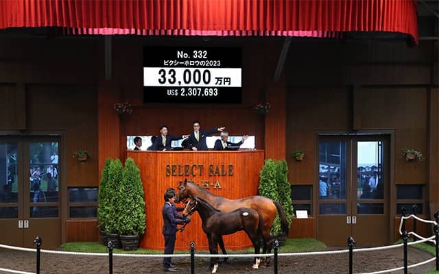 藤田晋氏きょう1頭目の購入は3億3000万円 ピクシーナイトの弟ピクシーホロウの2023