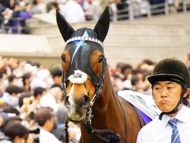 前走GIで0秒2差に健闘！ ヴィルシーナの仔が中京記念で重賞初制覇へ